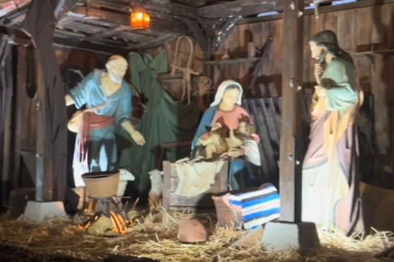 Felices Fiestas .
